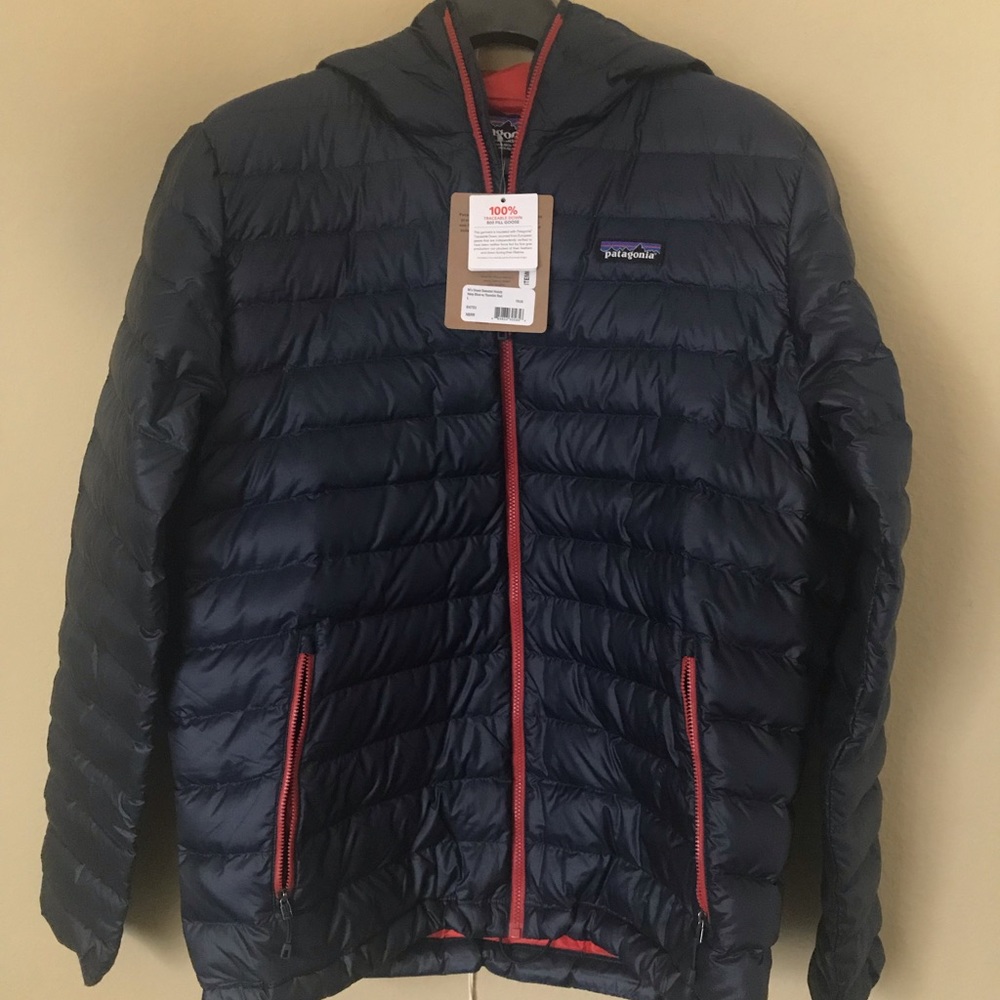 Patagonia Men’s down sweater hoody